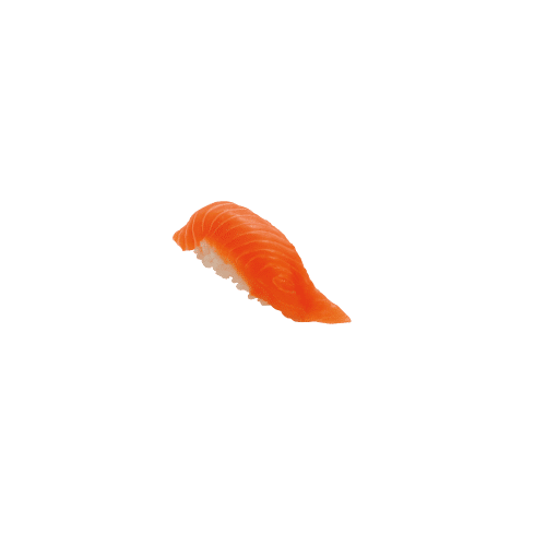 Nigiri sake