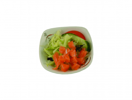 Sashimi salad