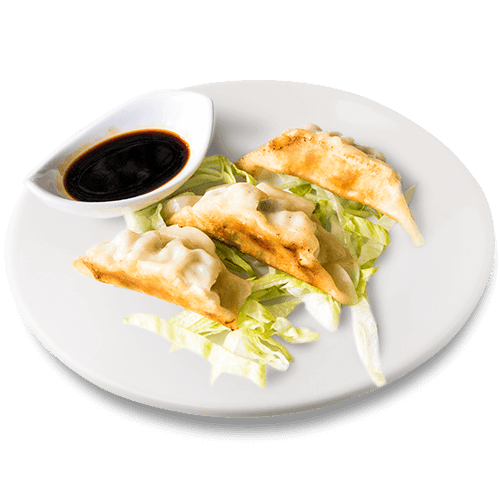 Vegetarian gyoza