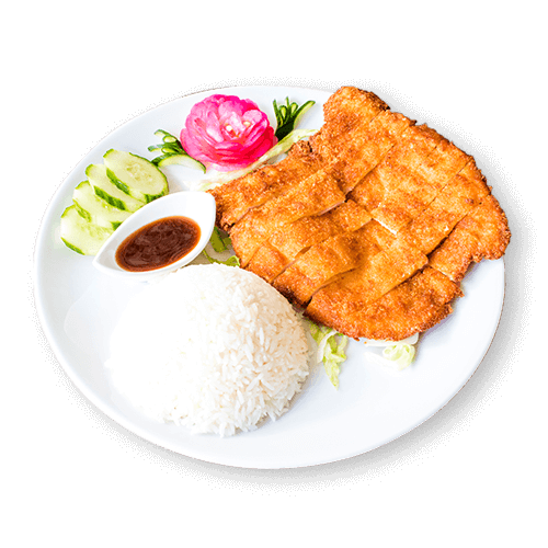 Tori katsu