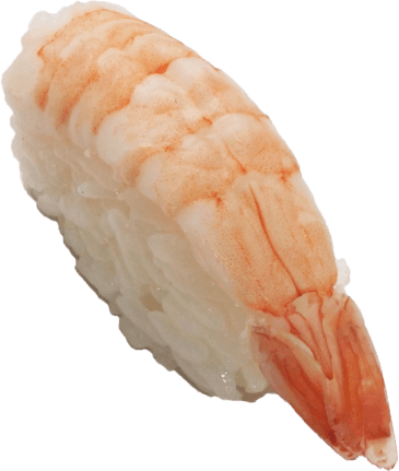 Ebi nigiri