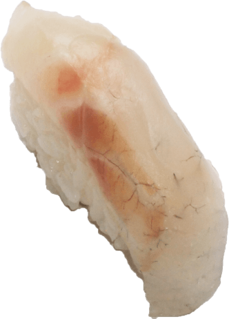 Suzuki nigiri