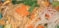 Pad thai tjee