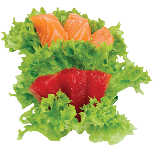 Sashimi salmon and tuna