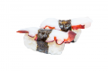 Tako