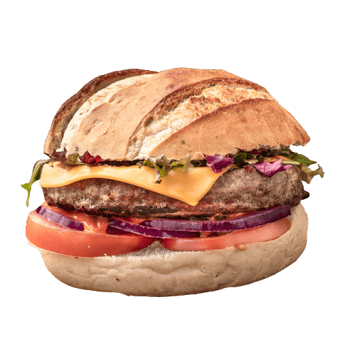 The Big American cheese burger