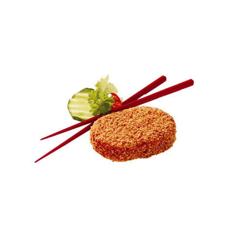 Nasischijf
