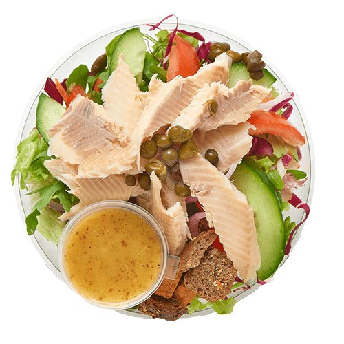 Gerookte forel