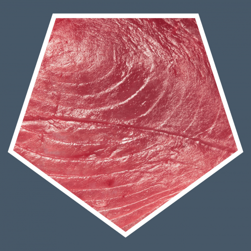Tonijn Sashimi