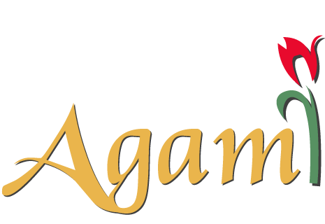 logo Turks restaurant Agam