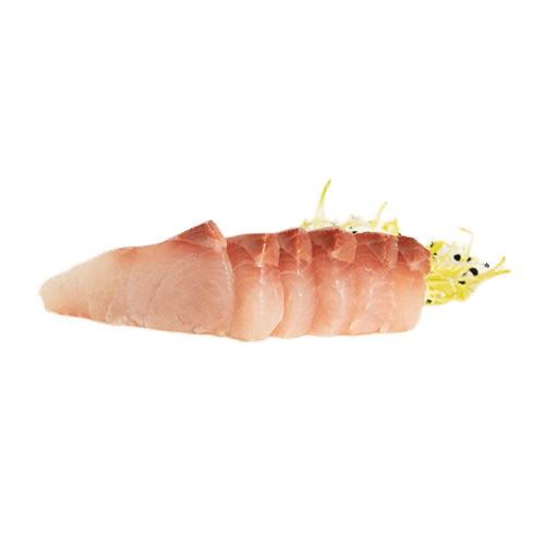 Sashimi yellow tail