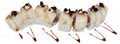 Snowy roll