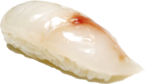Seabass nigiri
