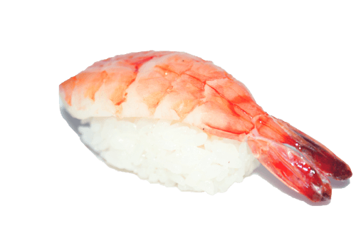 Shrimp nigiri