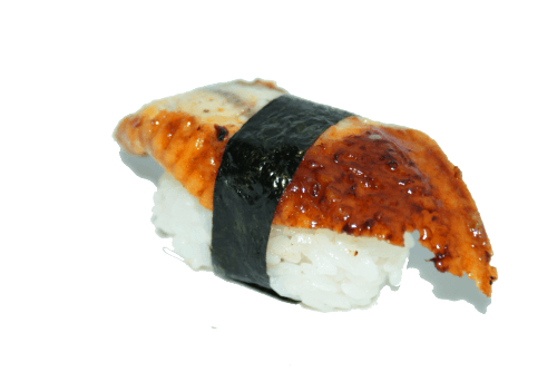 Grilled eel nigiri