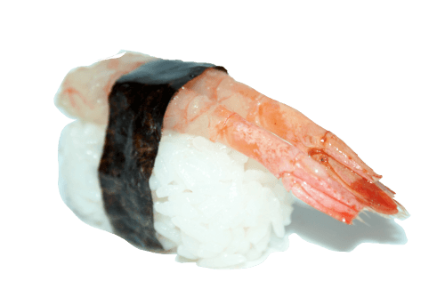 Fresh water shrimp nigiri