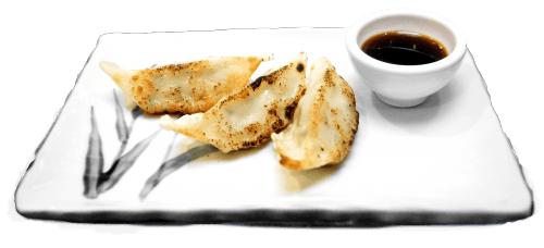 Gyoza chicken special