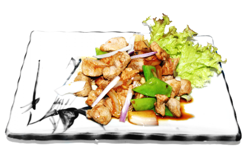 Pork teriyaki