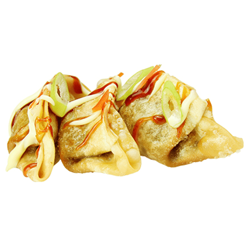 Classic fried gyoza ginger and garlic teriyaki