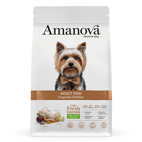 Amanova adult mini kip 2kg