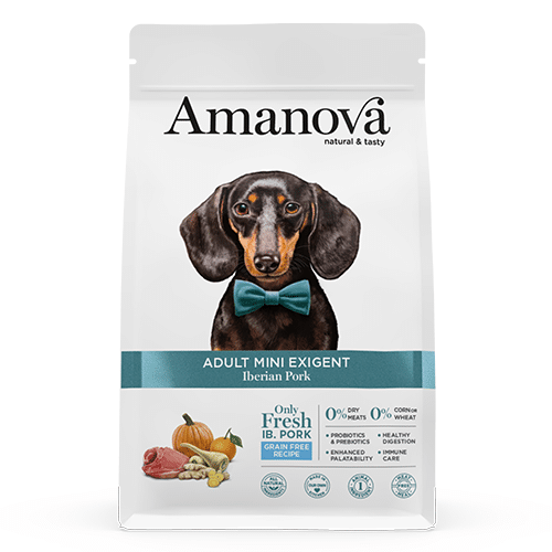 Amanova exigent pork mini adult 2kg