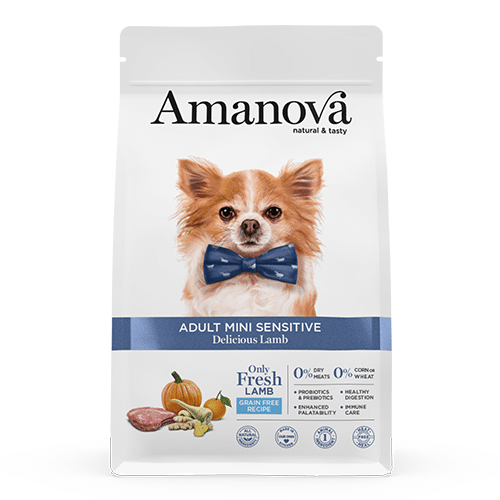 Amanova sensitive lam adult mini 2kg