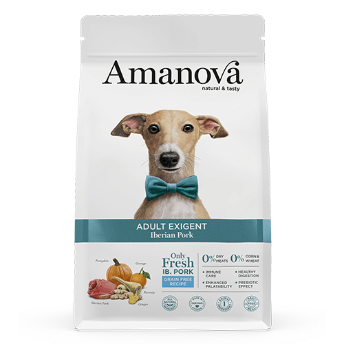 Amanova exigent pork adult 2kg