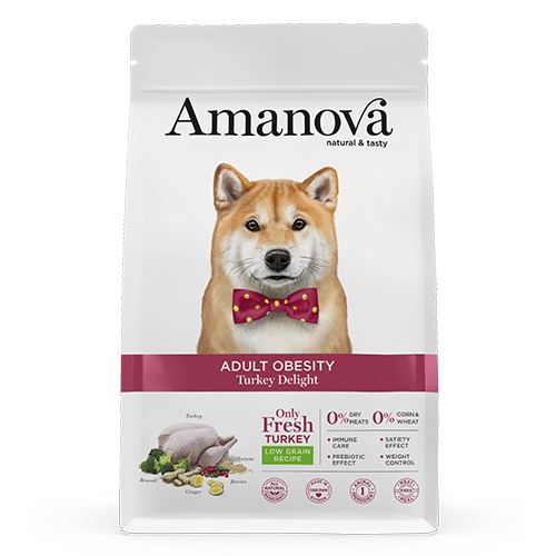 Amanova obesity kalkoen adult 2kg