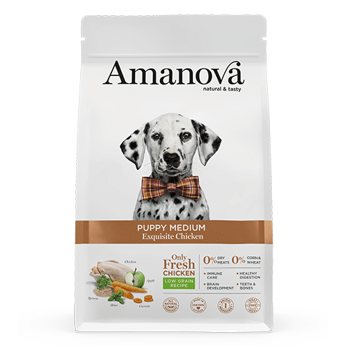 Amanova puppy kip 2kg