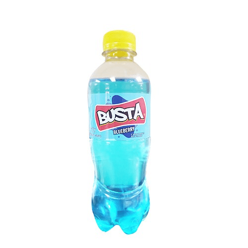 Busta Blueberry 500ml