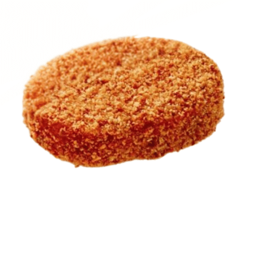 Nasischijf