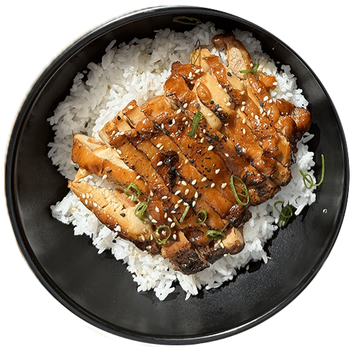 Rijst bowl wakadori