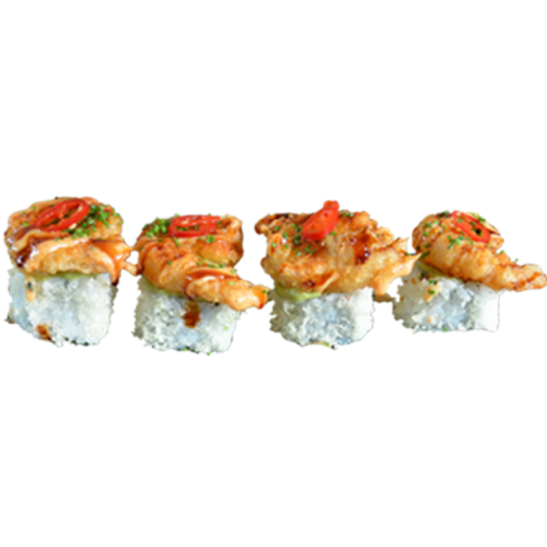 Shrimp on rock
