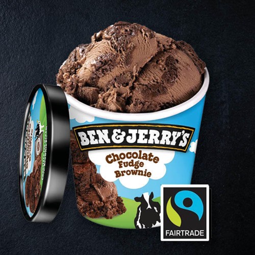 B&J Chocolate Fudge Brownie 465ml