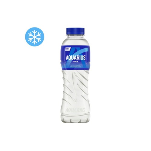 Aquarius lemon Fles 500 Milliliter