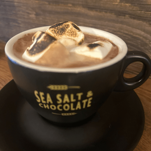 Hot Chocolate with Toasted Marshmallows