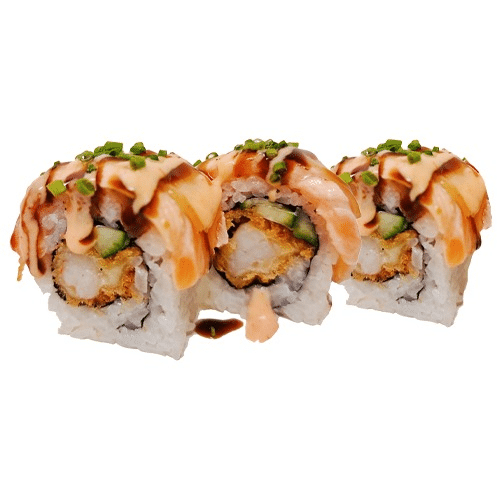 Vulcano maki