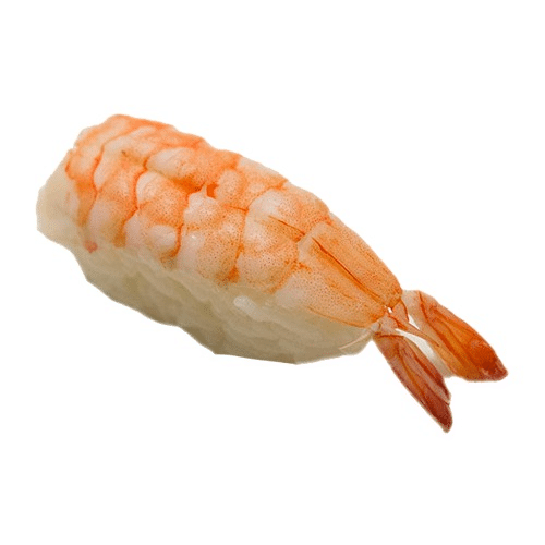 Nigiri ebi