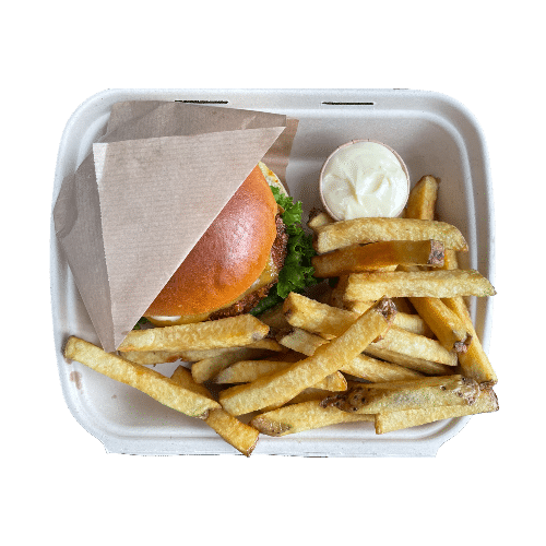 Spicy chicken burger combo