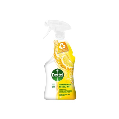 Dettol Allesreiniger Spray Citrus fles 500 ml