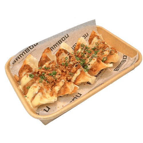 Gyoza chicken 5 stuks