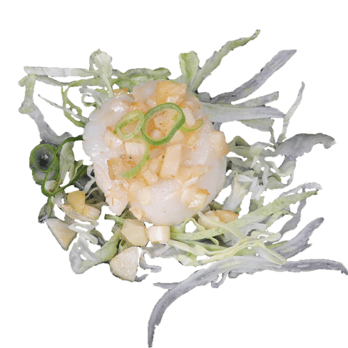 Coquille