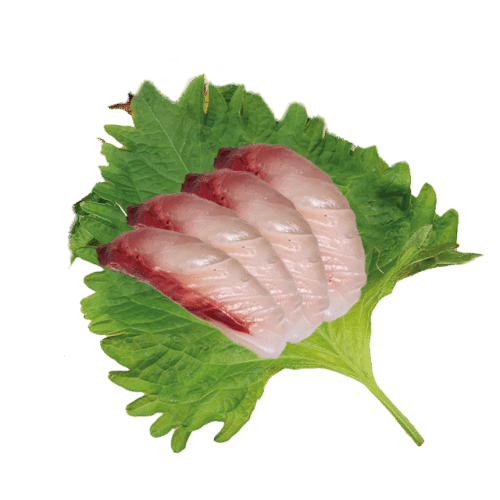Geelvinmakreel sashimi