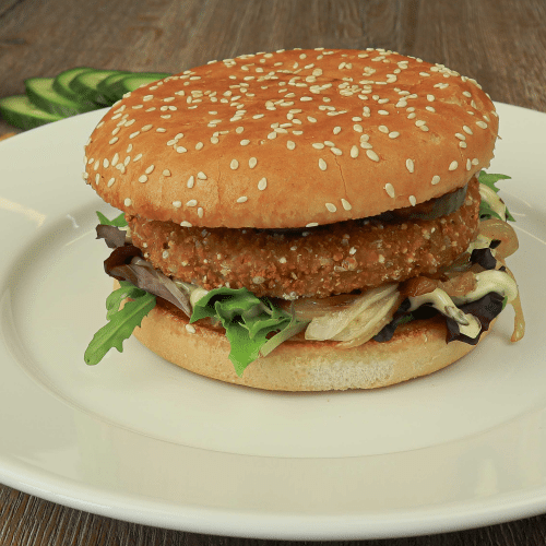 Vega Mexican avocado burger