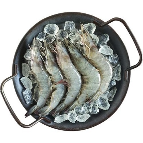 Verse Gamba's 500g