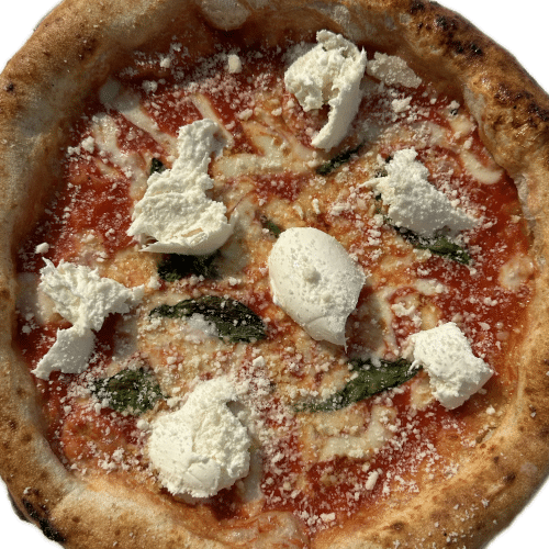 Pizza Margherita speciale