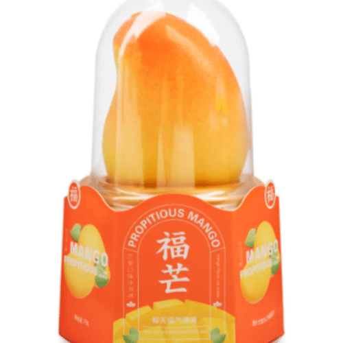 Viral mango ice cream