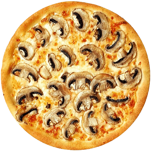 Pizza funghi