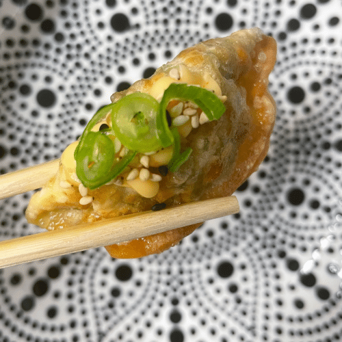 Vegan gyoza