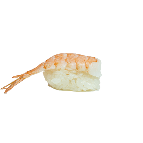 Ebi nigiri